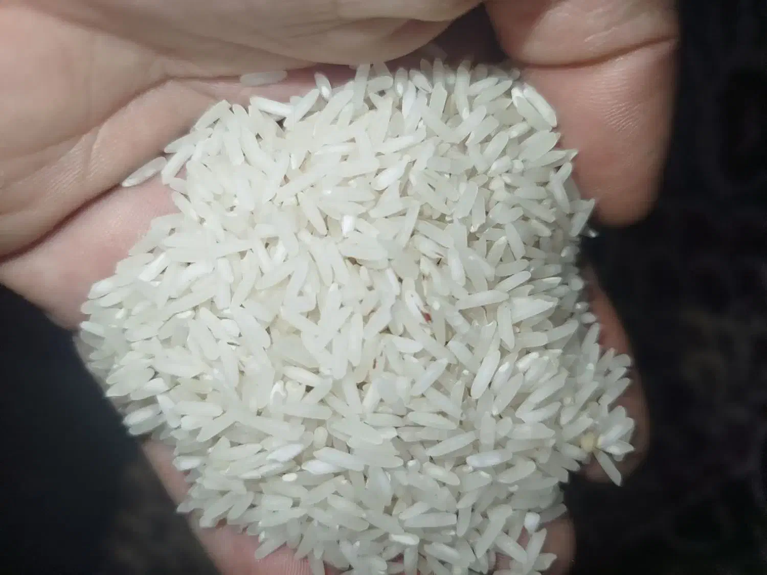 برنج سوزنی درجه یک دره شهر|خوردنی و آشامیدنی|دره شهر, |دیوار