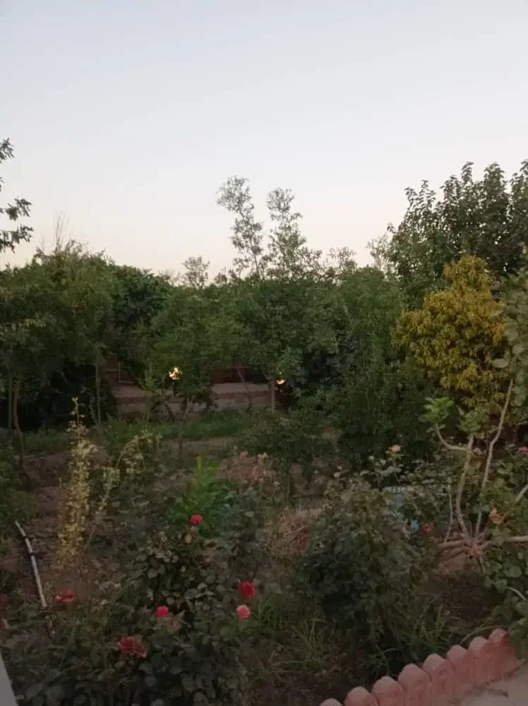 اجاره دامداری ۱۰۰۰متری|اجارهٔ دفتر صنعتی، کشاورزی، تجاری|جوادآباد, |دیوار