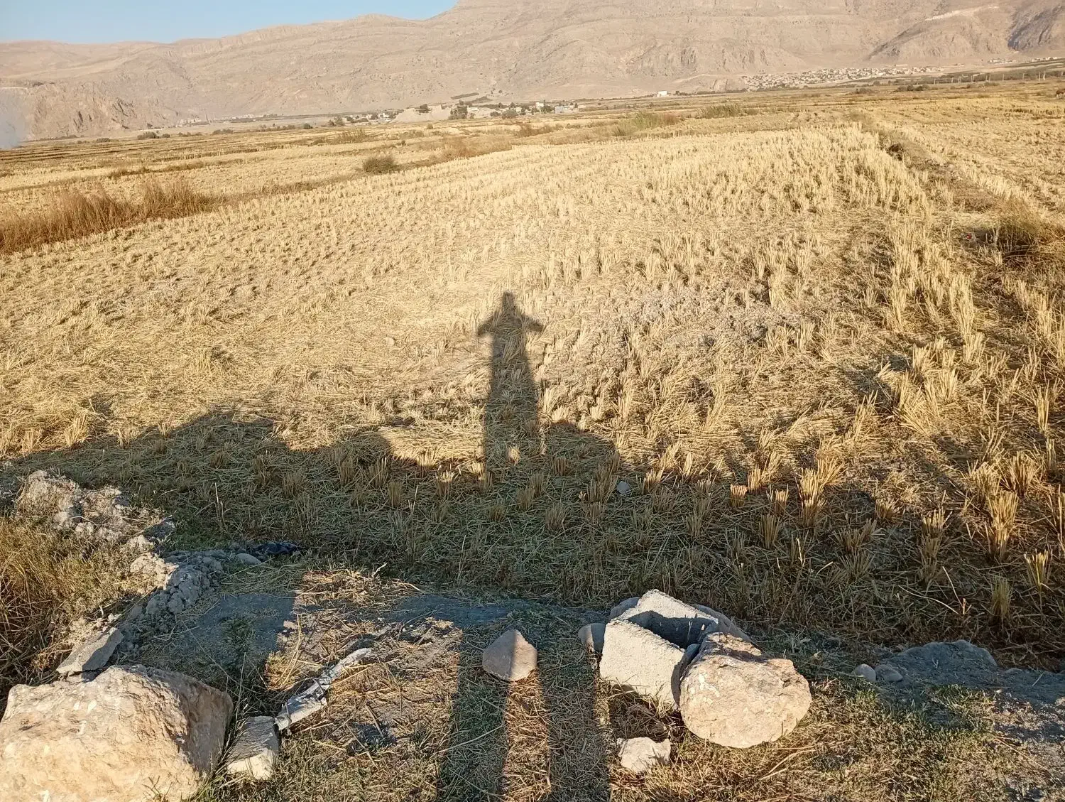 دو جریب زمین برنج کاری|فروش زمین و ملک کلنگی|فلارد, |دیوار