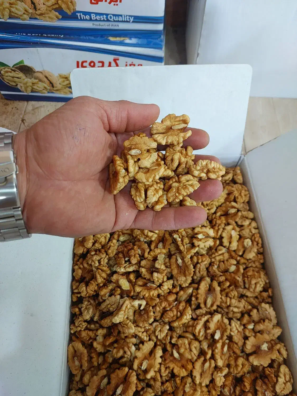 مغز گردو بلغار درجه یک ودو|حراج|نوشهر, |دیوار