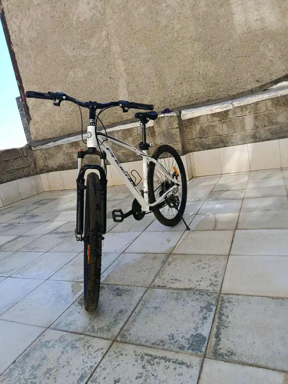 دوچرخه 29 فونیکس|دوچرخه، اسکیت، اسکوتر|سنندج, |دیوار