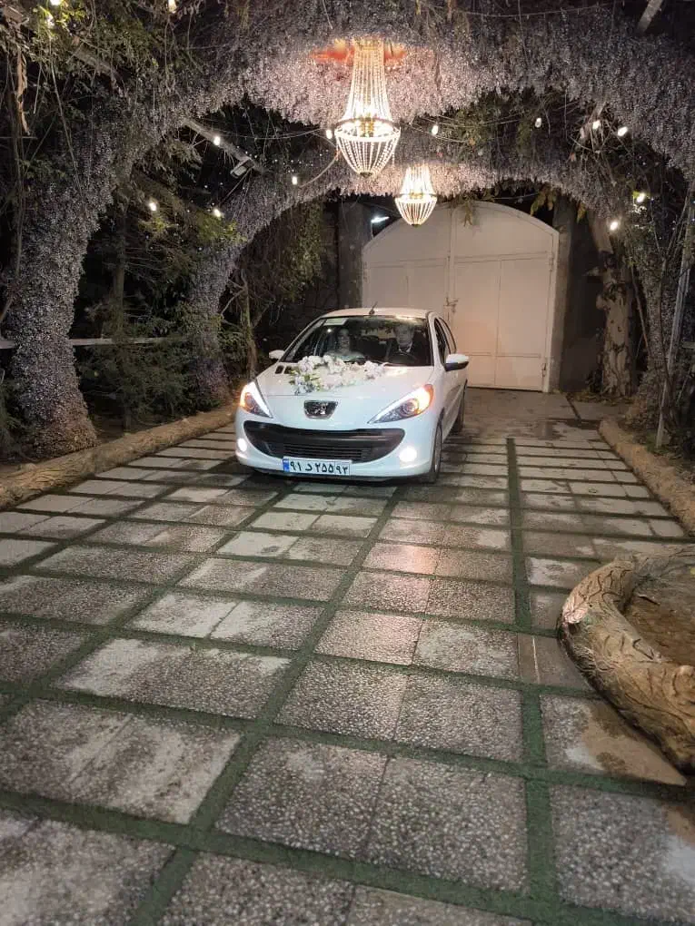 اجاره ۲۰۷ یک روز رایگان/رنت خودرو/کرایه اتومبیل|خودرو اجارهای|شیراز, فرهنگ شهر|دیوار