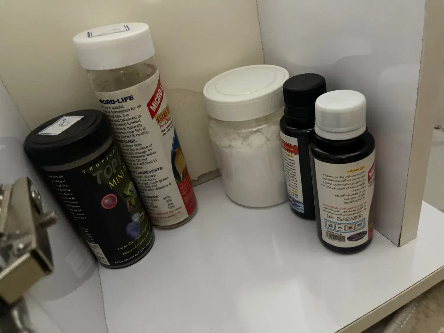 اکواریوم دلسا|ماهی|رباط‌کریم, رباط‌کریم|دیوار