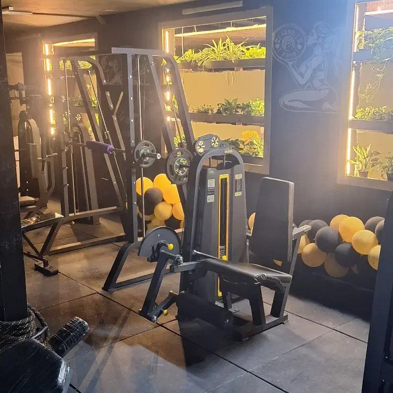 باشگاه|تجهیزات ورزشی|مشهد, مقدم|دیوار