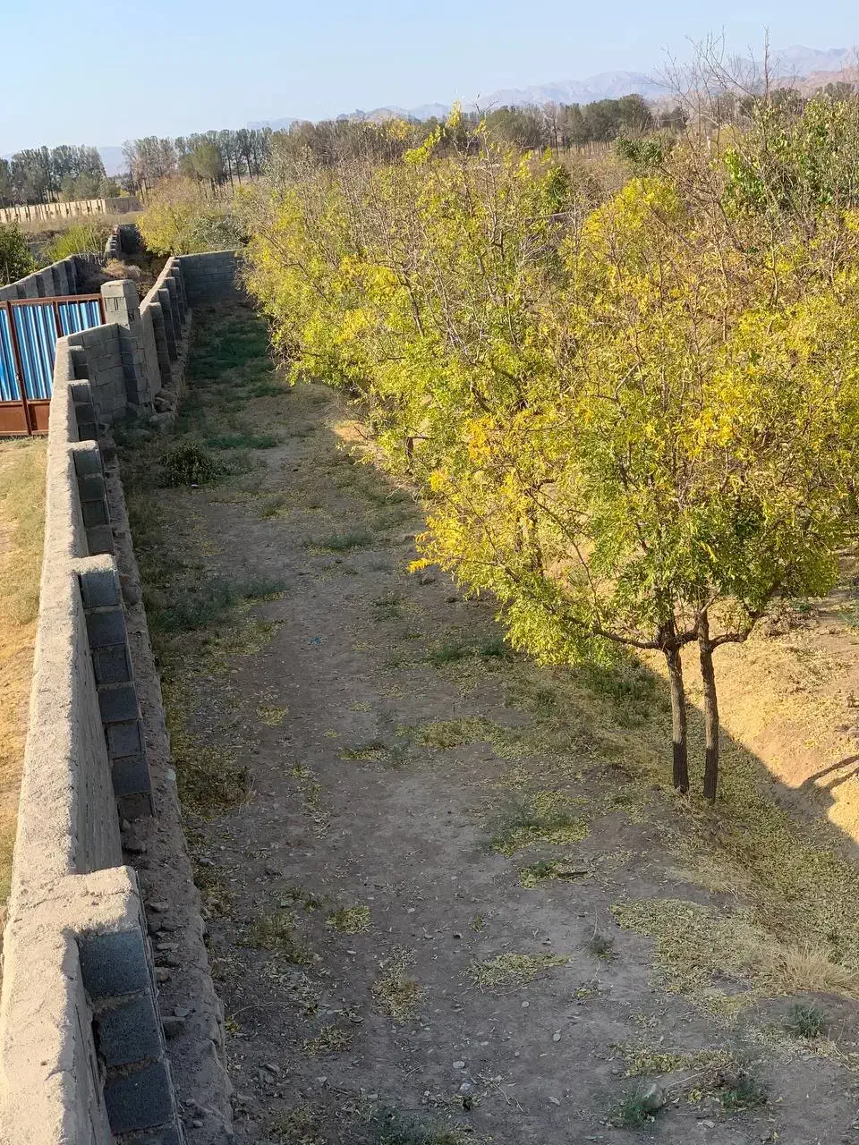 فروش باغ تقاب|فروش زمین و ملک کلنگی|خوسف, |دیوار