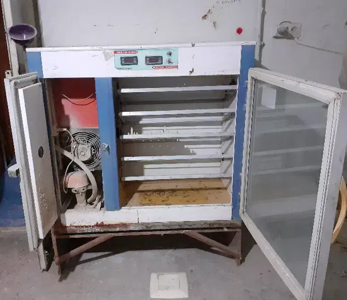 دستگاه جوجه کشی|لوازم جانبی حیوانات|تربت‌حیدریه, ۴۵ متری|دیوار