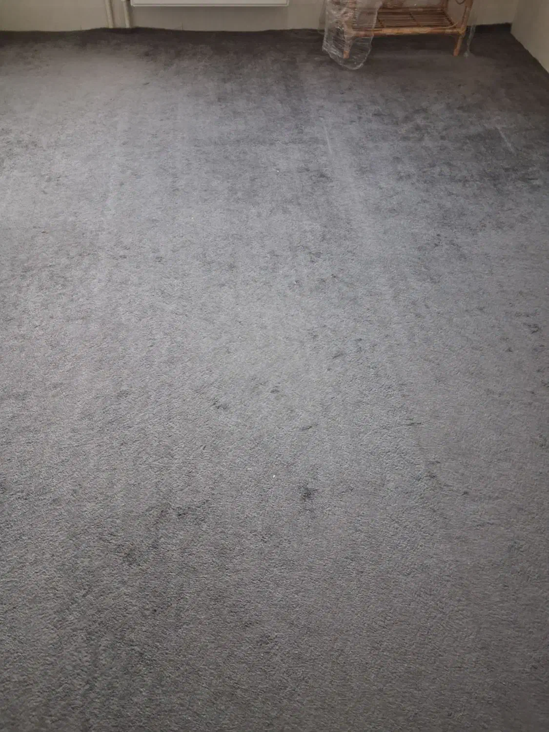 پالاز موکت۱۲متری|موکت|اسلامشهر, شهرک مهدیه|دیوار