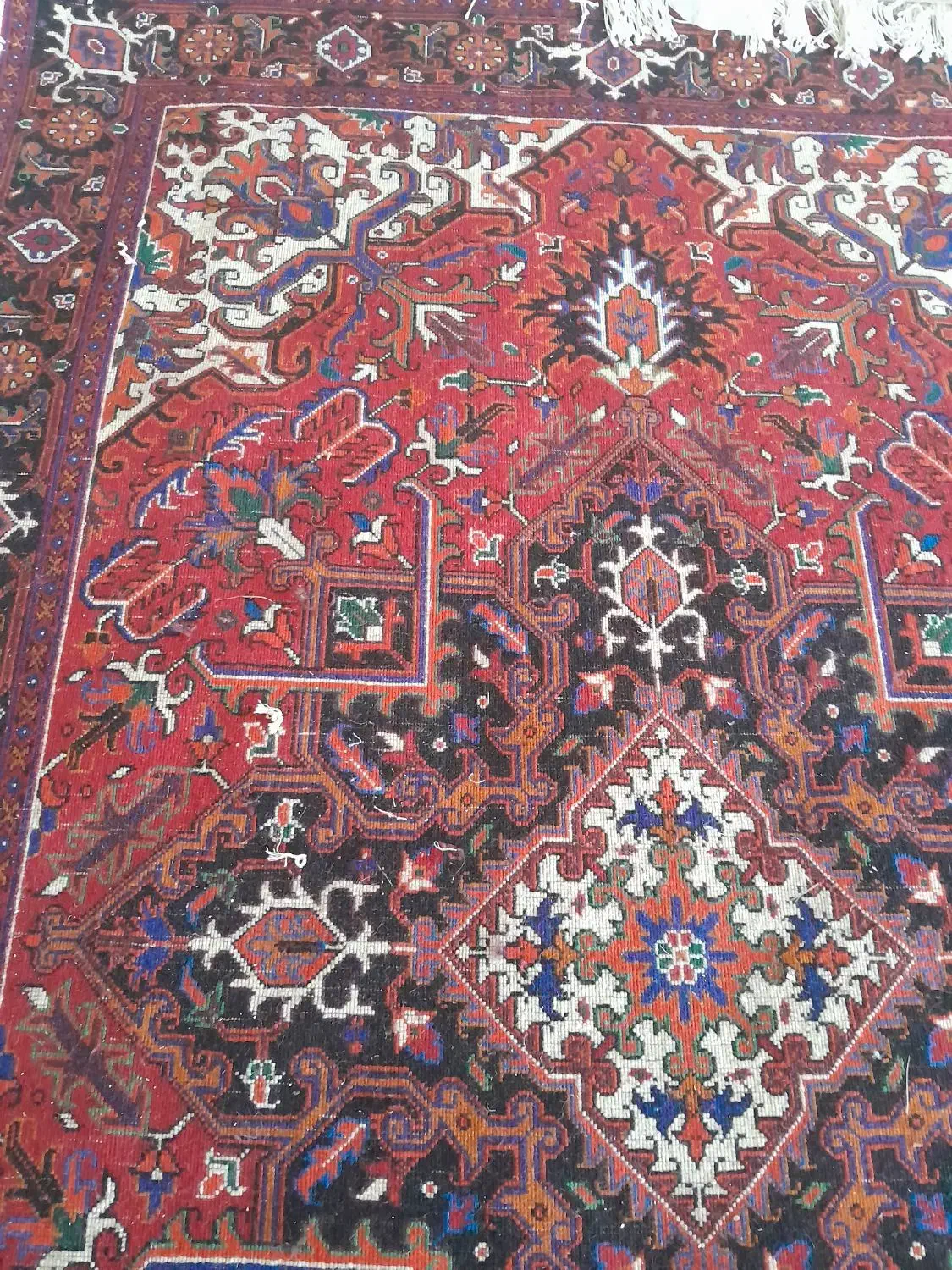 فرش دستباف|فرش|مرند, |دیوار