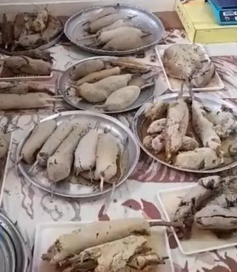 عسل طبیعی|خوردنی و آشامیدنی|مسجد سلیمان, |دیوار