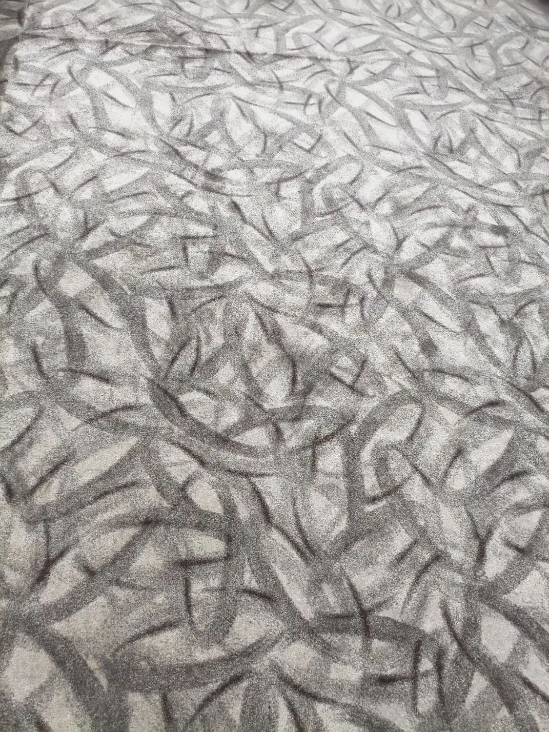 پالاز موکت|موکت|بندرعباس, |دیوار