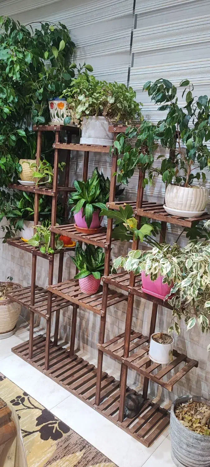 استند گلدان|گل و گیاه طبیعی|تهران, باغ خزانه|دیوار