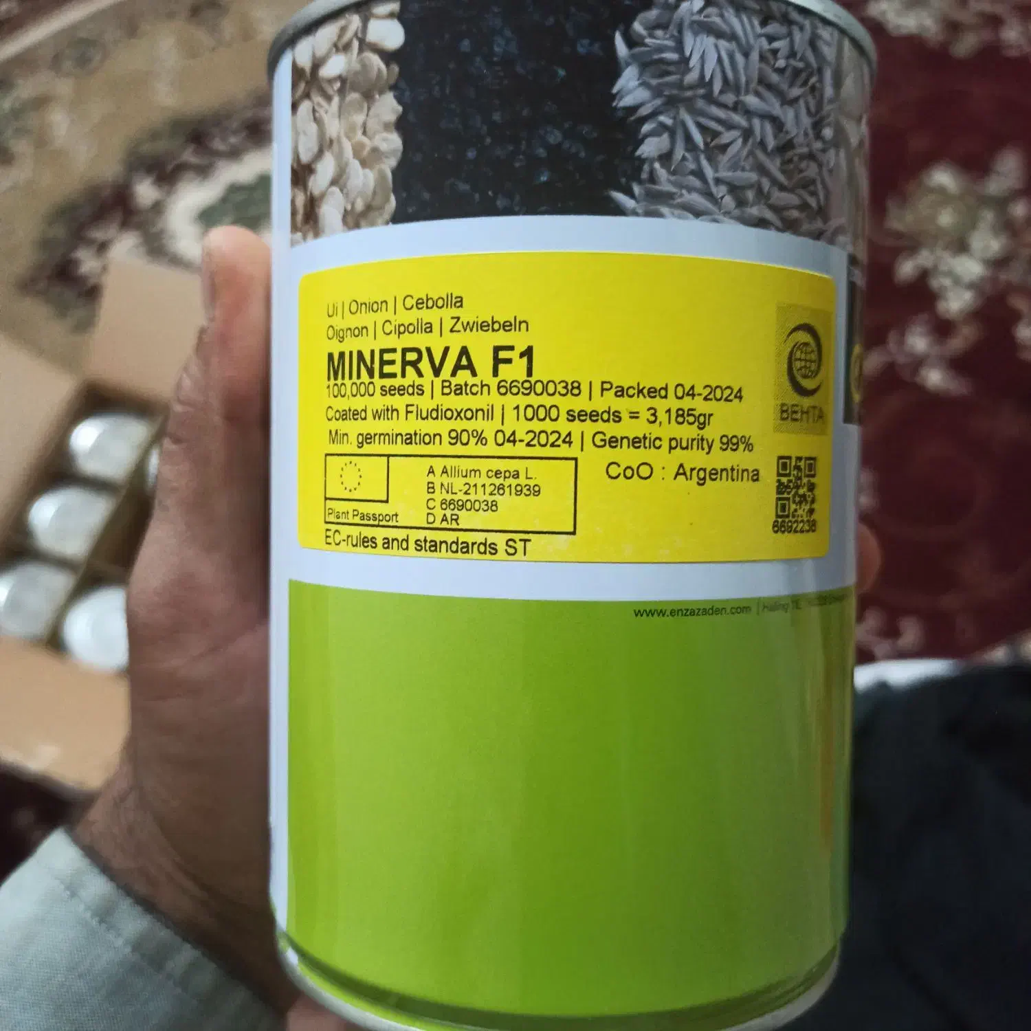 بذر پیاز ۱۱عدد قوطی آرژانتین|گل و گیاه طبیعی|رودبار, |دیوار