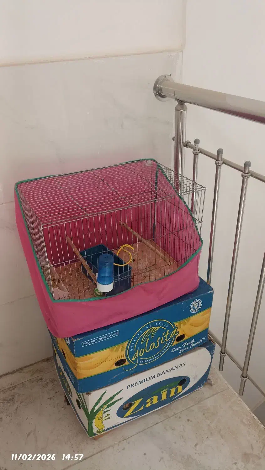 وسایل حراجی|حراج|همدان, |دیوار