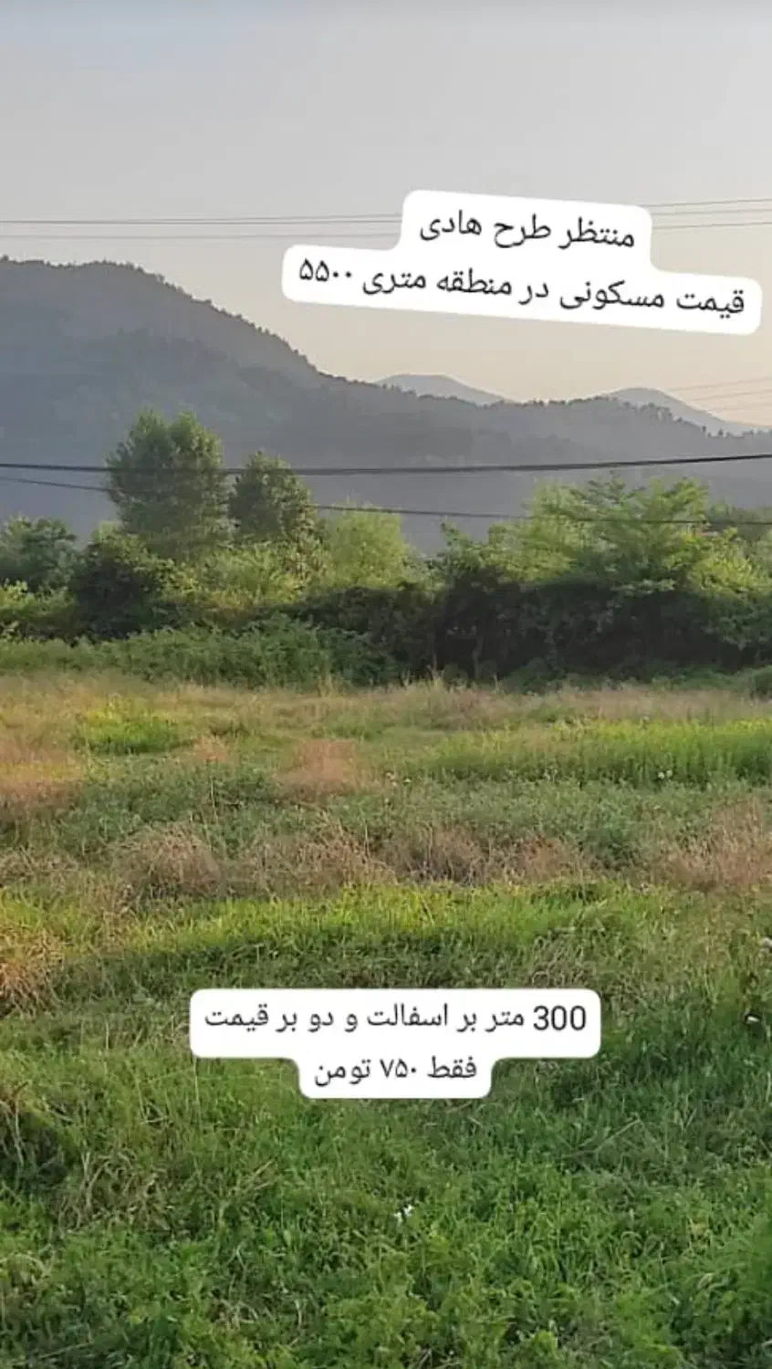 فروش فوری سه پلاک زمین 300 متری و یک پلاک 600متری|فروش زمین و ملک کلنگی|شاندرمن, |دیوار