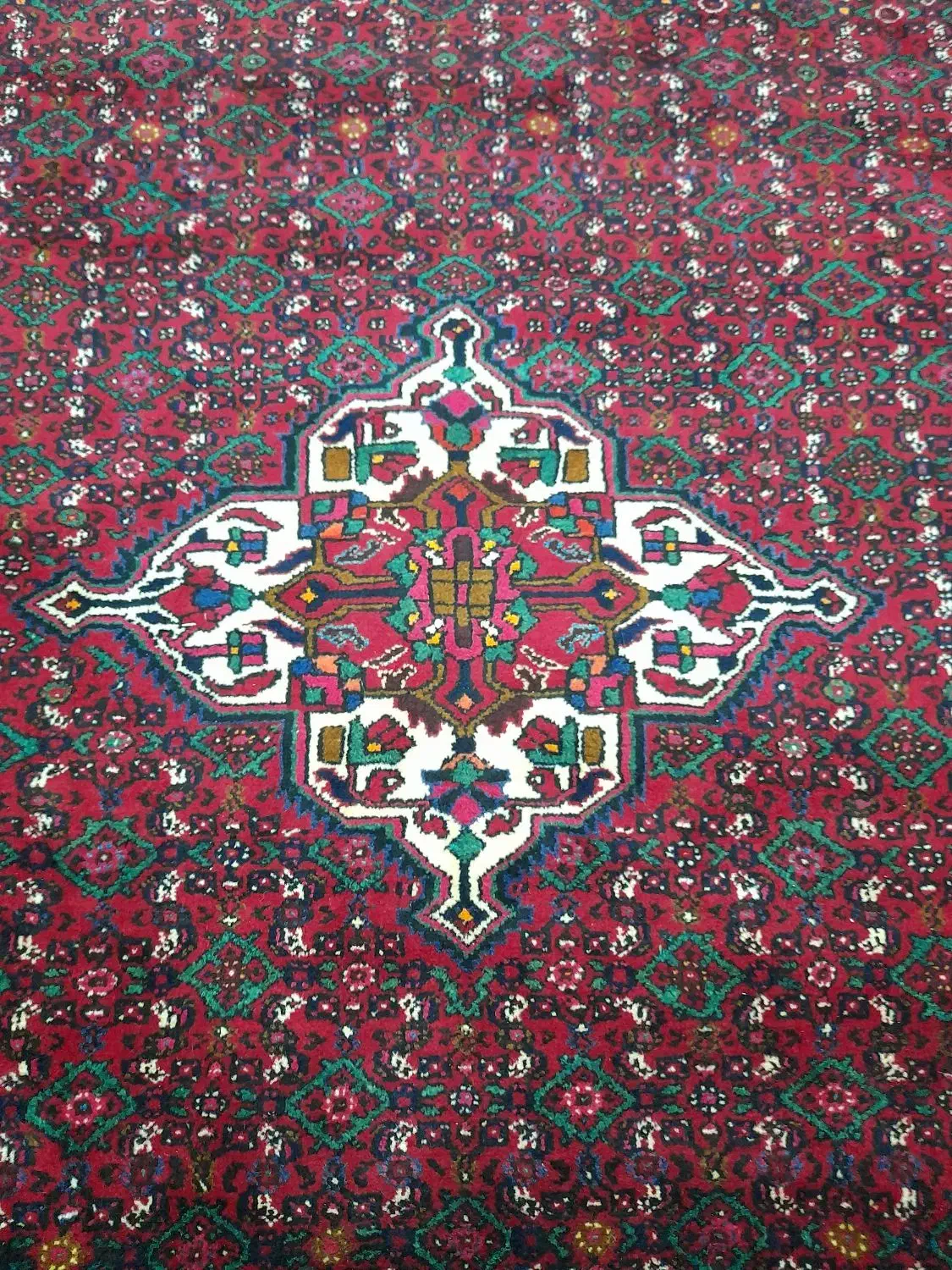 فرش ازندریان ۶ متری|فرش|صالح آباد, |دیوار