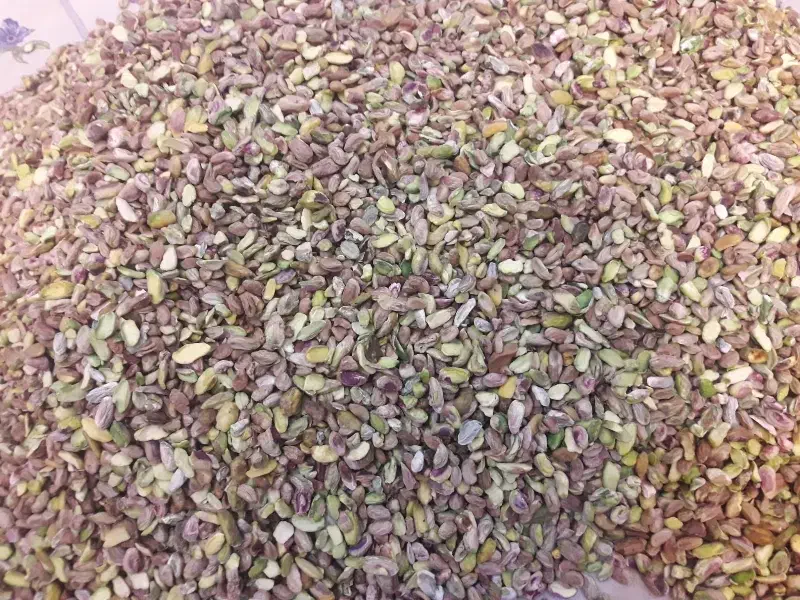 مغز|خوردنی و آشامیدنی|تهران, خانی‌آباد|دیوار