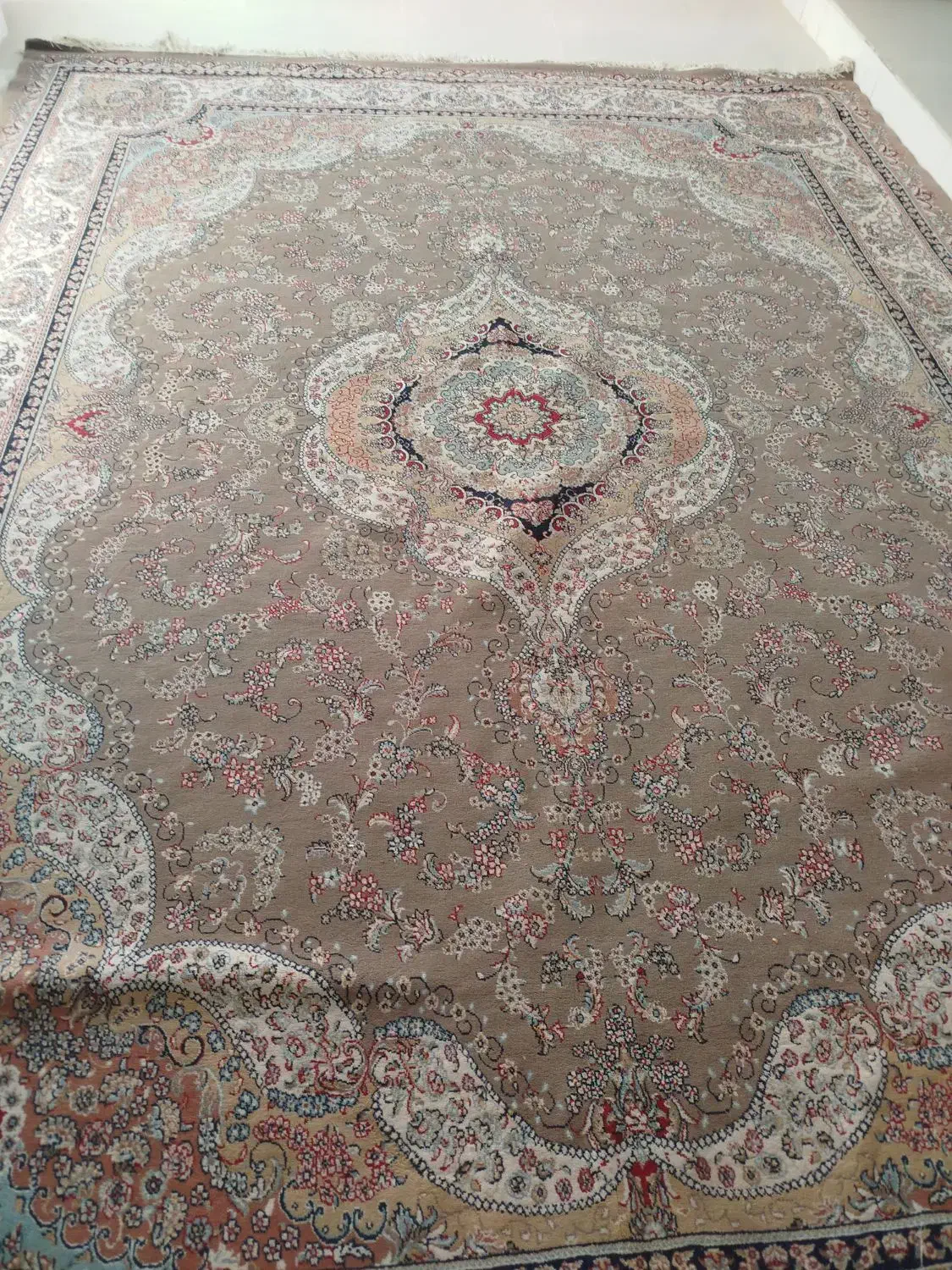 فرش ۱۲متری|فرش|زاهدان, |دیوار