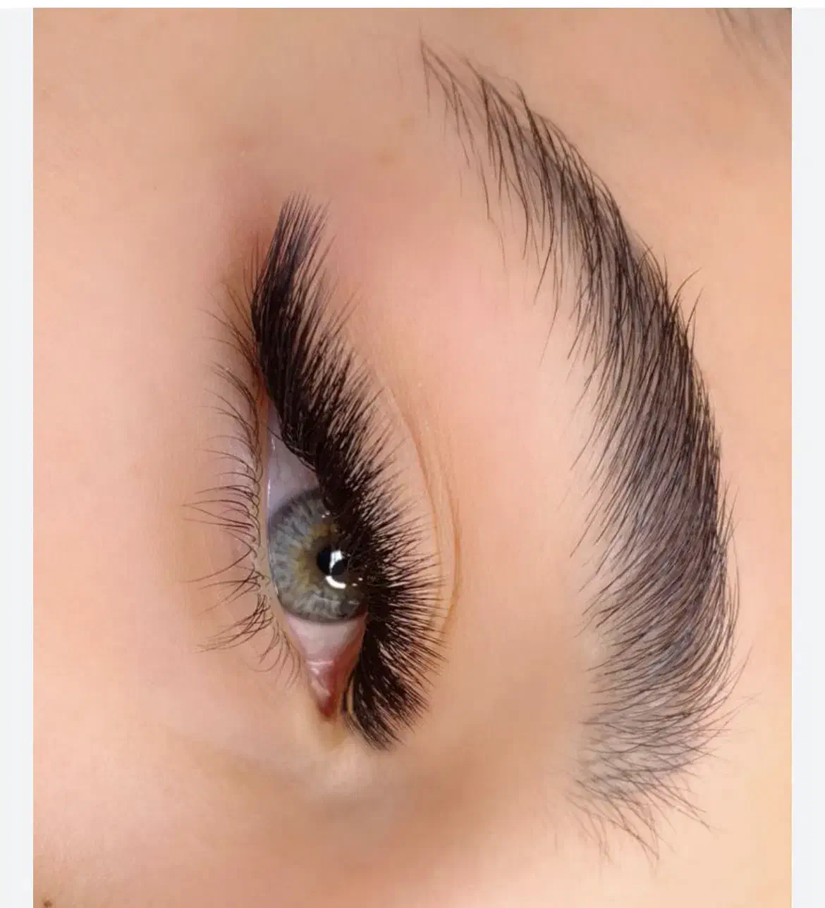 اجاره لاین اکستنشن مژه و ابرو|آرایشگاه و سالنهای زیبایی|جیرفت, |دیوار