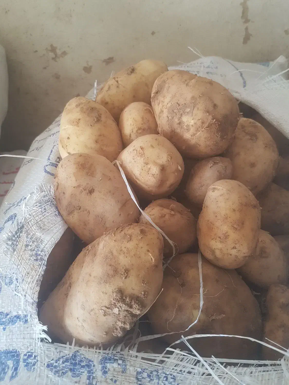 سیب خاکی|عمدهفروشی|دوتپه, |دیوار