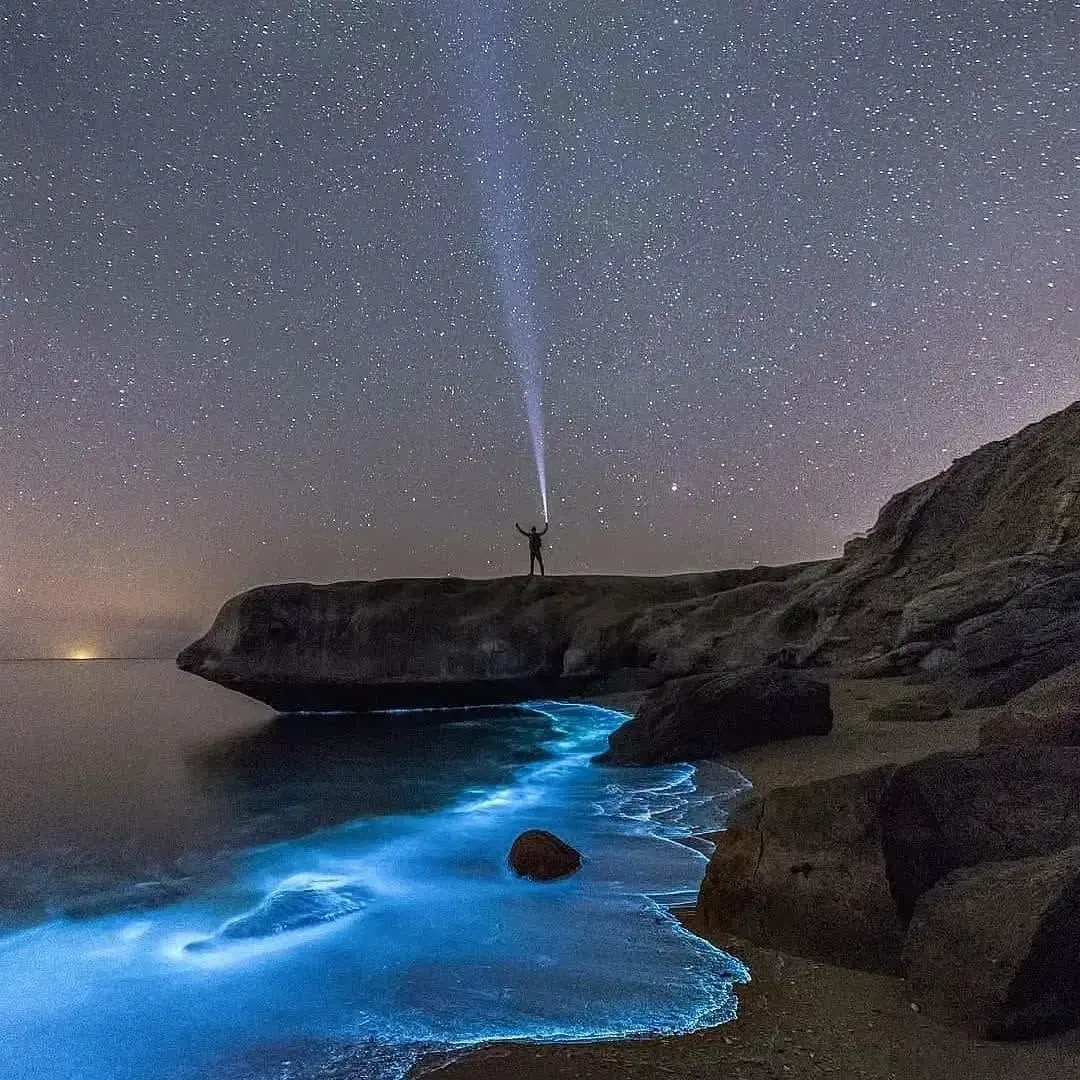 تور ریلی جزیره هنگام|تور و چارتر|تهران, شهرک صدرا|دیوار