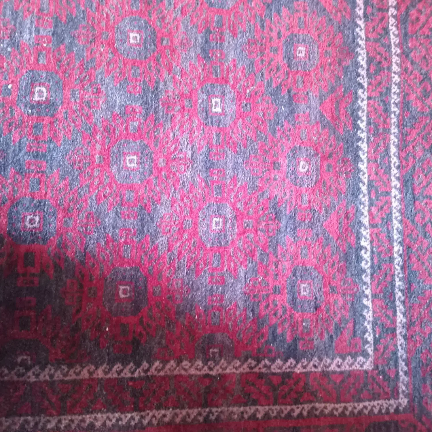 قالی قدیمی سالم|فرش|سبزوار, شرق کال عیدگاه|دیوار