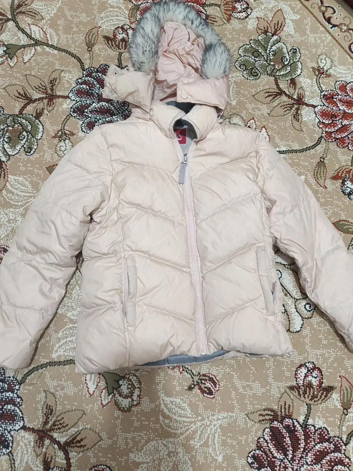 کاپشن دخترونه بادی|کفش و لباس بچه|بروجرد, |دیوار