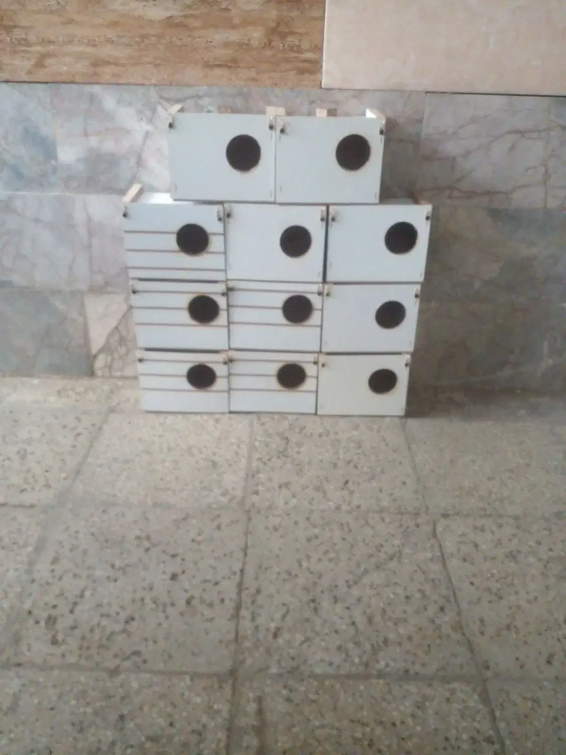 پرنده|پرنده|مشهد, شهید قربانی|دیوار