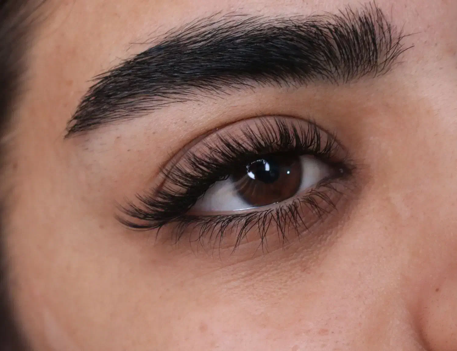 تخفیف ویژه اکستنشن مژه|خدمات آرایشگری و زیبایی|شیراز, گلکوب|دیوار