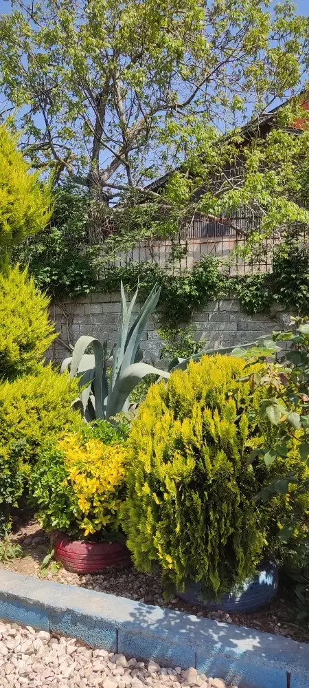 خانه باغ با تمام امکانات سر خیابان اصلی|فروش خانه و ویلا|آکند, |دیوار