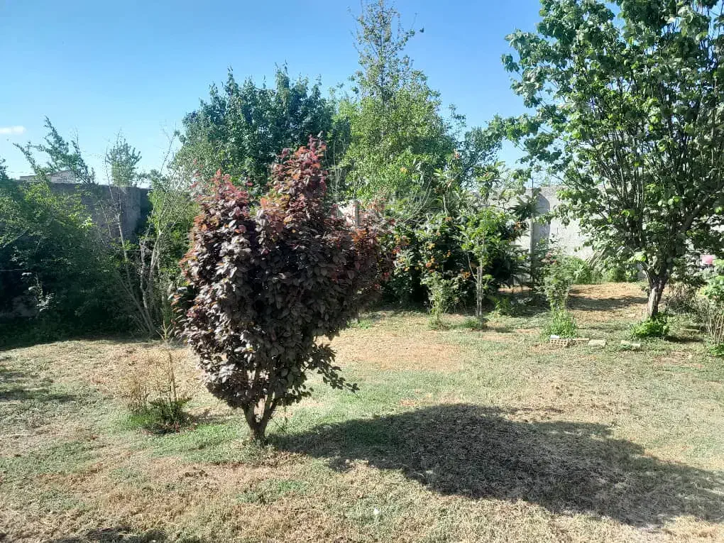 خانه‌ویلایی‌به‌متراژ۱۷۰۰متر|فروش خانه و ویلا|رشت, حومه رشت|دیوار