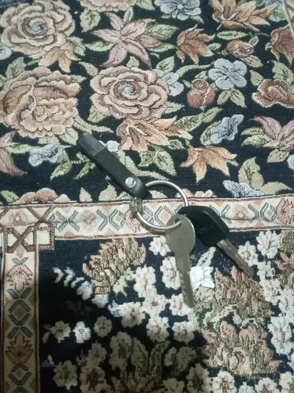 گم شده|اشیا|زاهدان, |دیوار