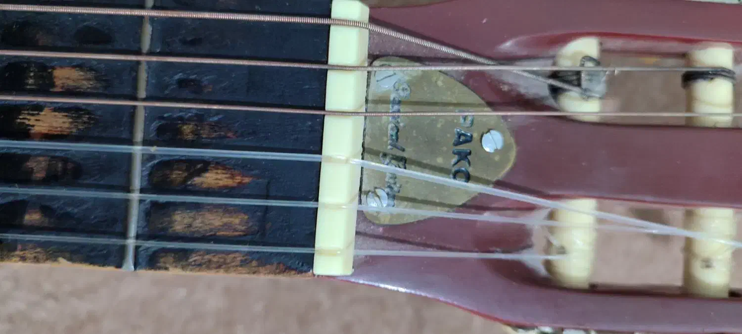 گیتار|گیتار، بیس، امپلیفایر|فلاورجان, |دیوار