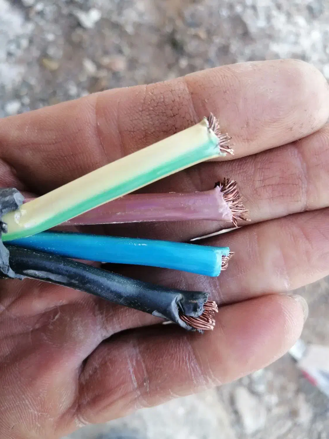 حدود ۱۰۰مترکابل افشان قدیمی و بسیار پرمس10×4|مصالح و تجهیزات ساختمان|کاشمر, |دیوار