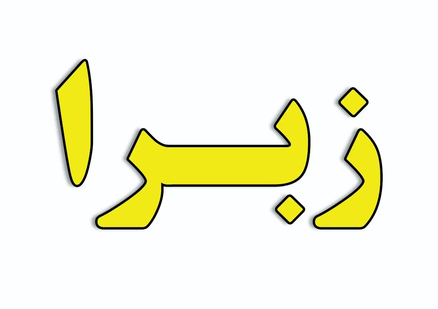 نصب و تعمیرات زبرا|صنایع دستی و سایر لوازم تزئینی|اهواز, آریاشهر|دیوار