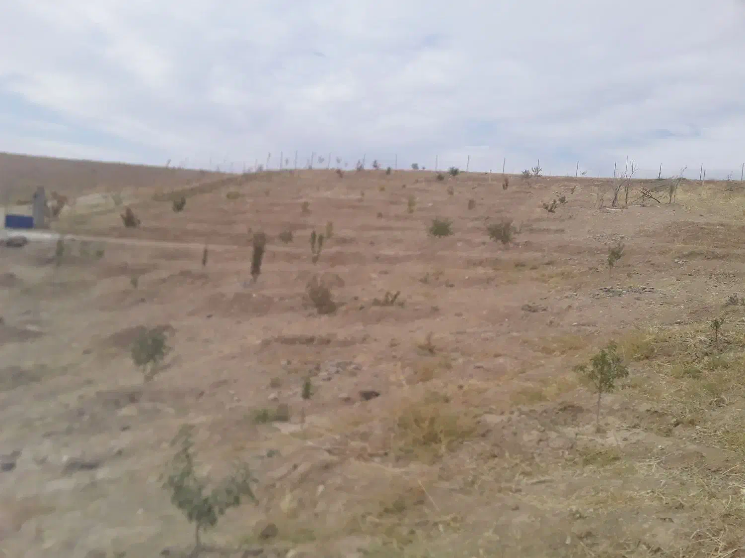 زمین باغی|فروش خانه و ویلا|هریس, |دیوار