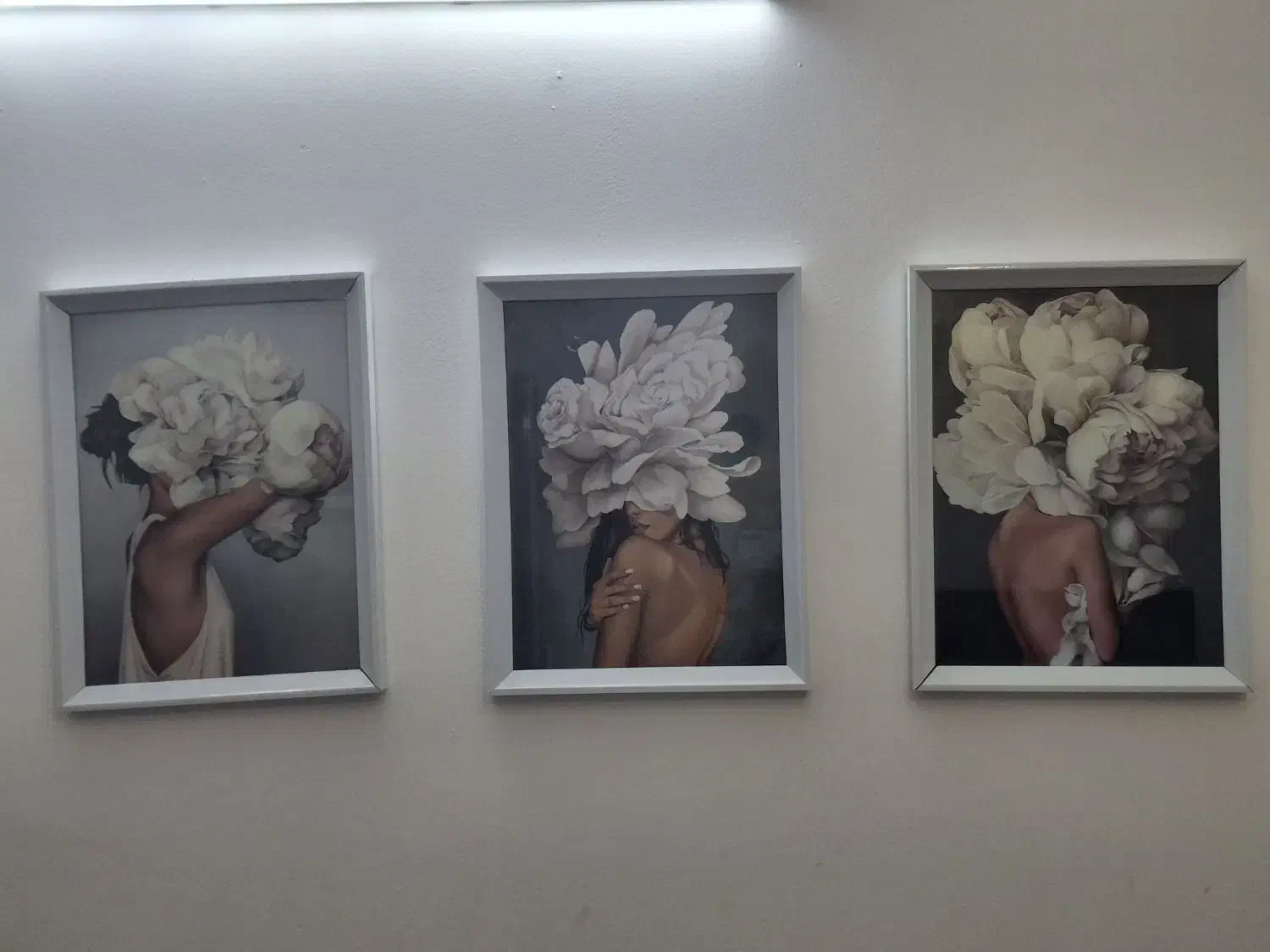 تابلو شیک ۳۰در۵۰|تابلو، نقاشی، عکس|گرگان, |دیوار