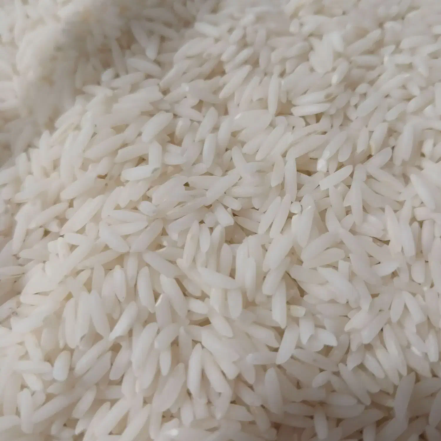 با سلام برنج هاشمی در زیباشهر منزل|خوردنی و آشامیدنی|محمدیه-قزوین, |دیوار