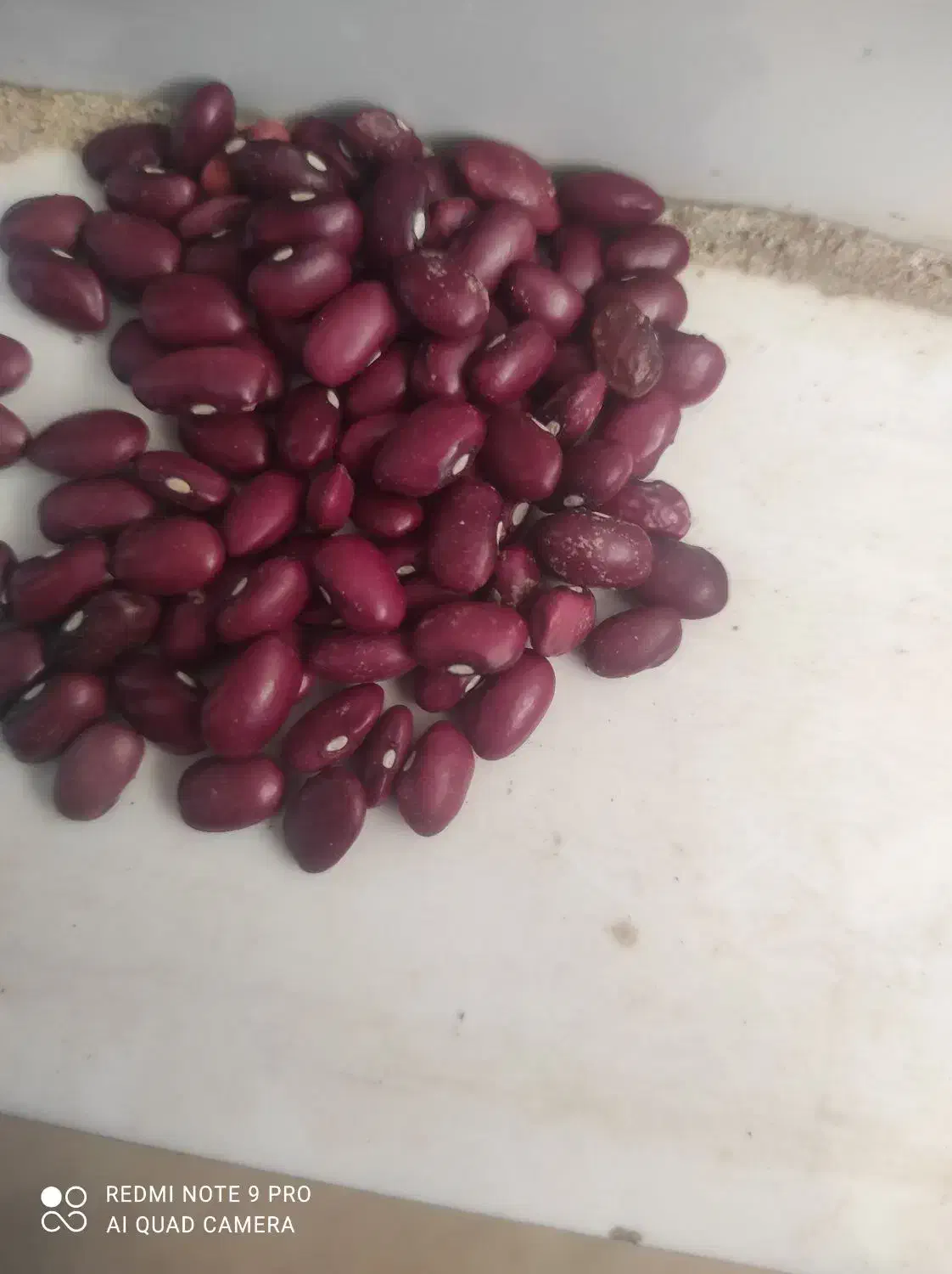 فروش 3تن لوبیا|عمدهفروشی|لردگان, |دیوار