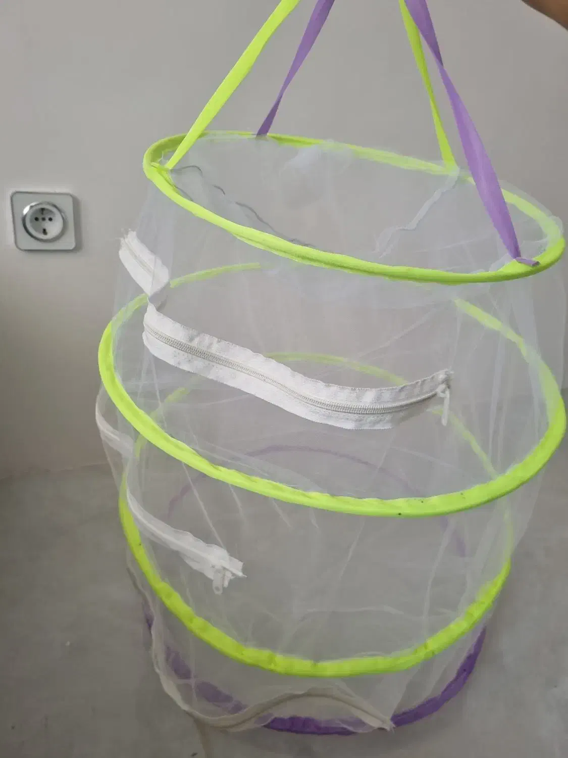 سبد هاب میوه خشک وسبزیجات خشک کن|ظروف نگهدارنده، پلاستیکی، یک‌بارمصرف|بندرعباس, |دیوار