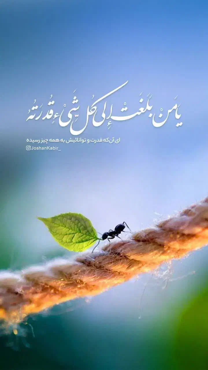 کیف پیدا شده|اشیا|مشهد, شیرودی|دیوار