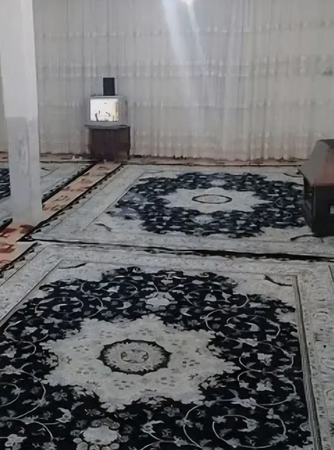 همخونه محترمه و تحصیلکرده میدان آزادی