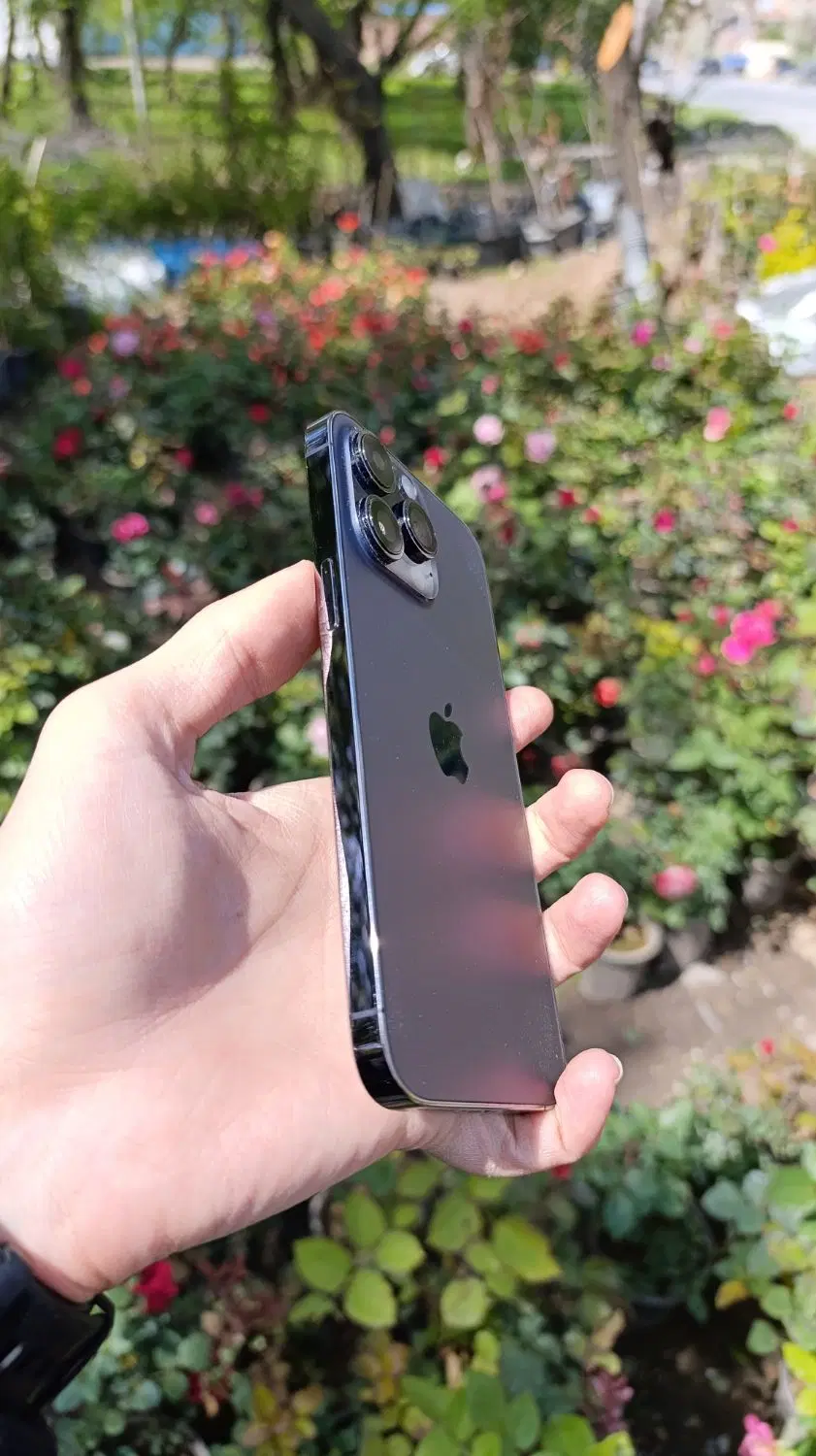Iphone 14 pro max|موبایل|مراغه, |دیوار