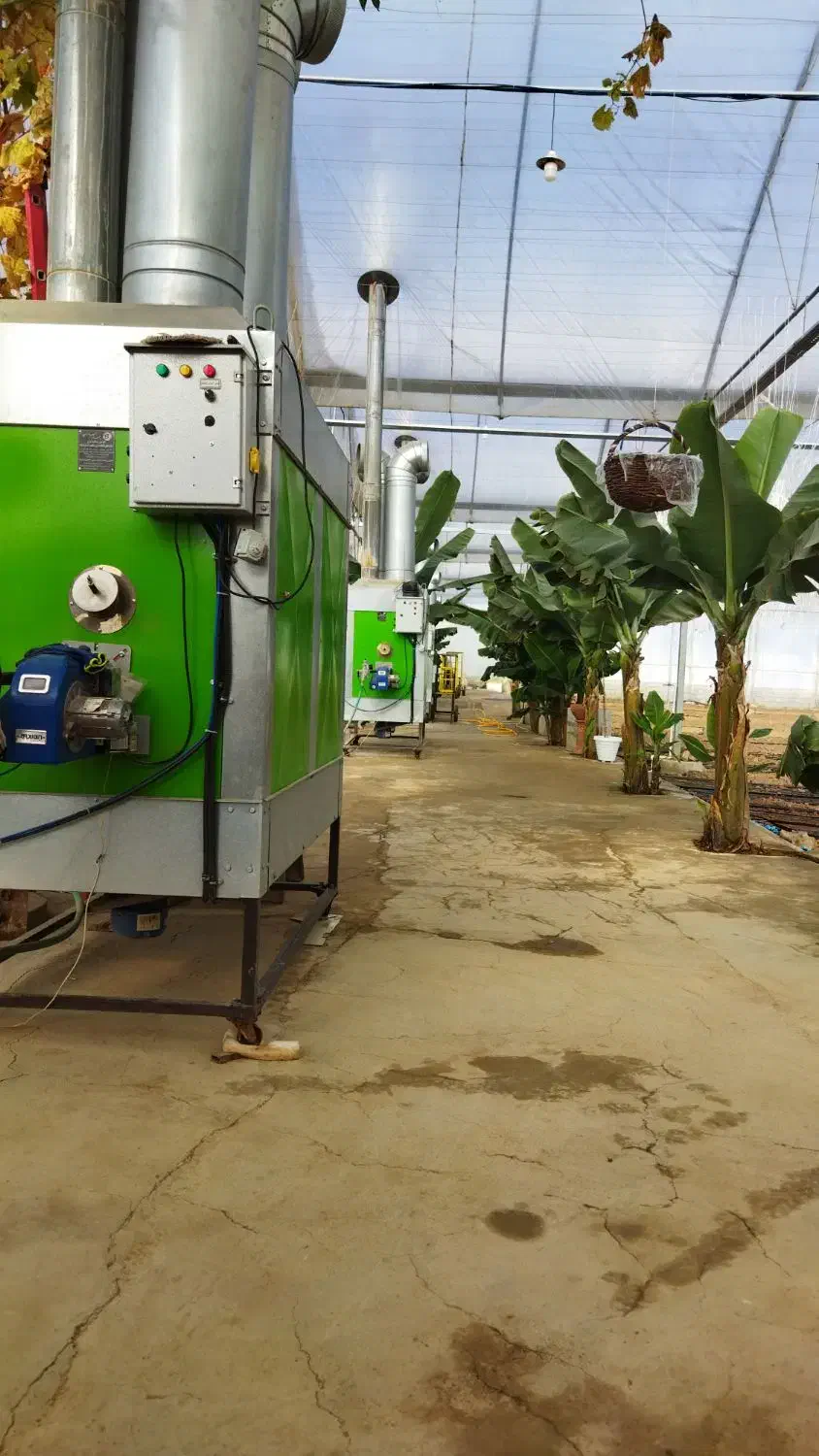 گلخانه‌کشت‌فلفل‌دلمه|فروش دفتر صنعتی، کشاورزی، تجاری|عسگران, |دیوار