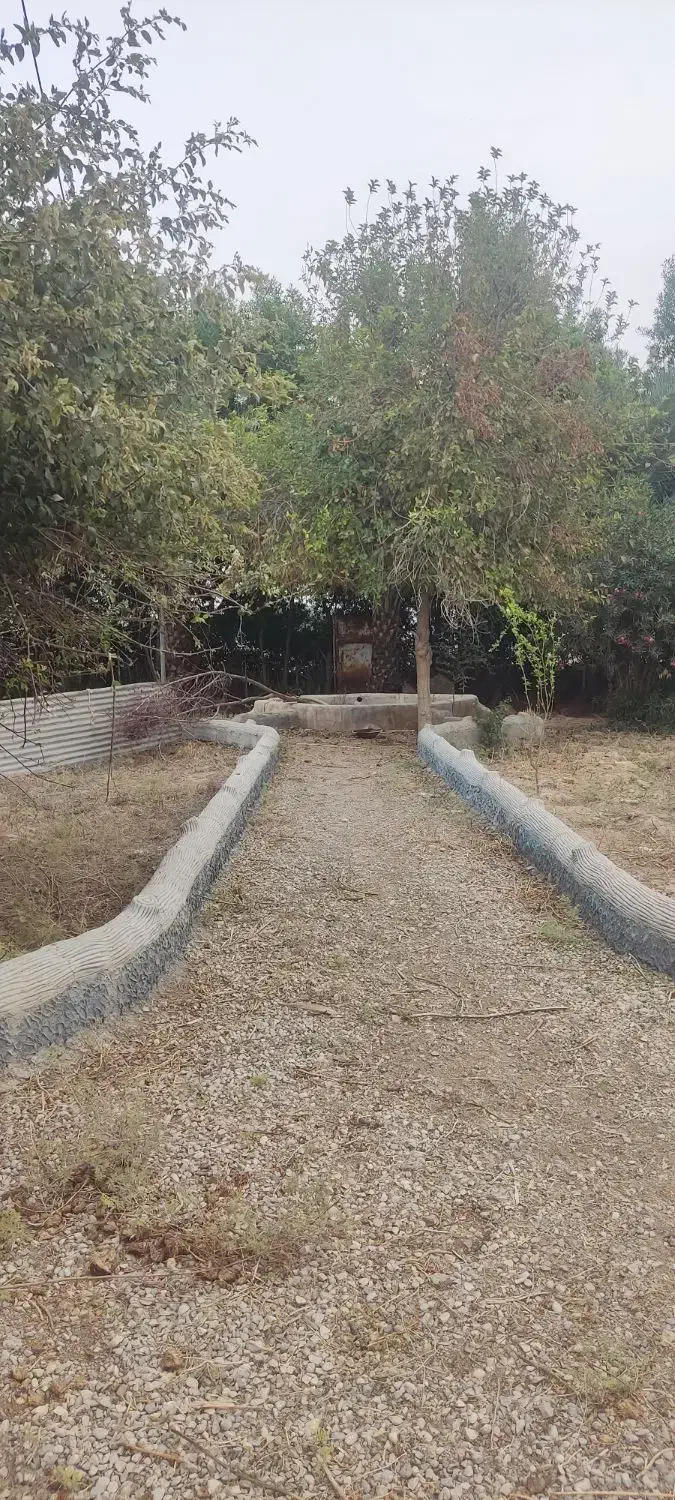 فروش زمین برای باغ ویلا|فروش زمین و ملک کلنگی|شوشتر, |دیوار