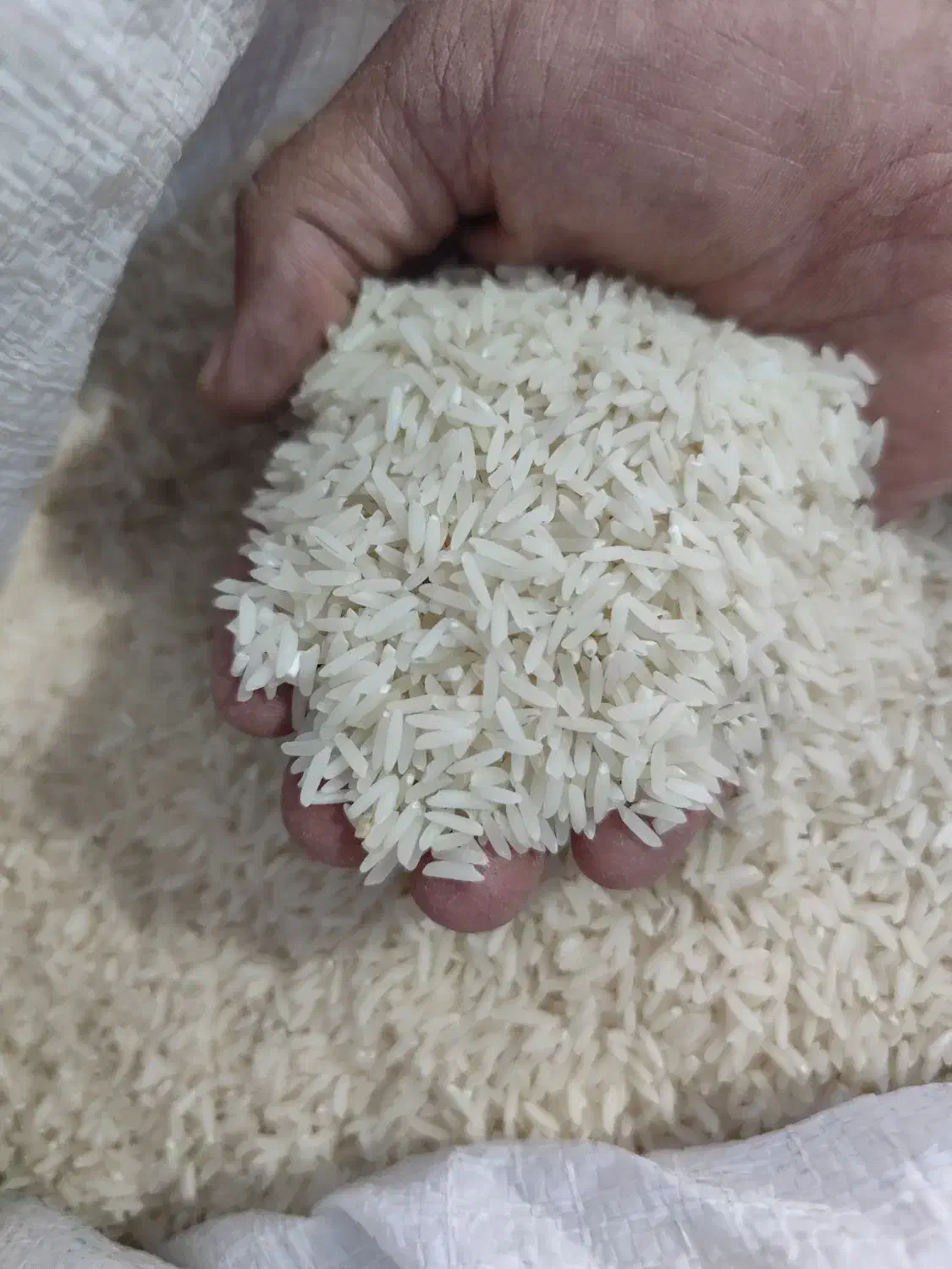 فروش ۳۰۰کیلو برنج|خوردنی و آشامیدنی|پل سفید, |دیوار