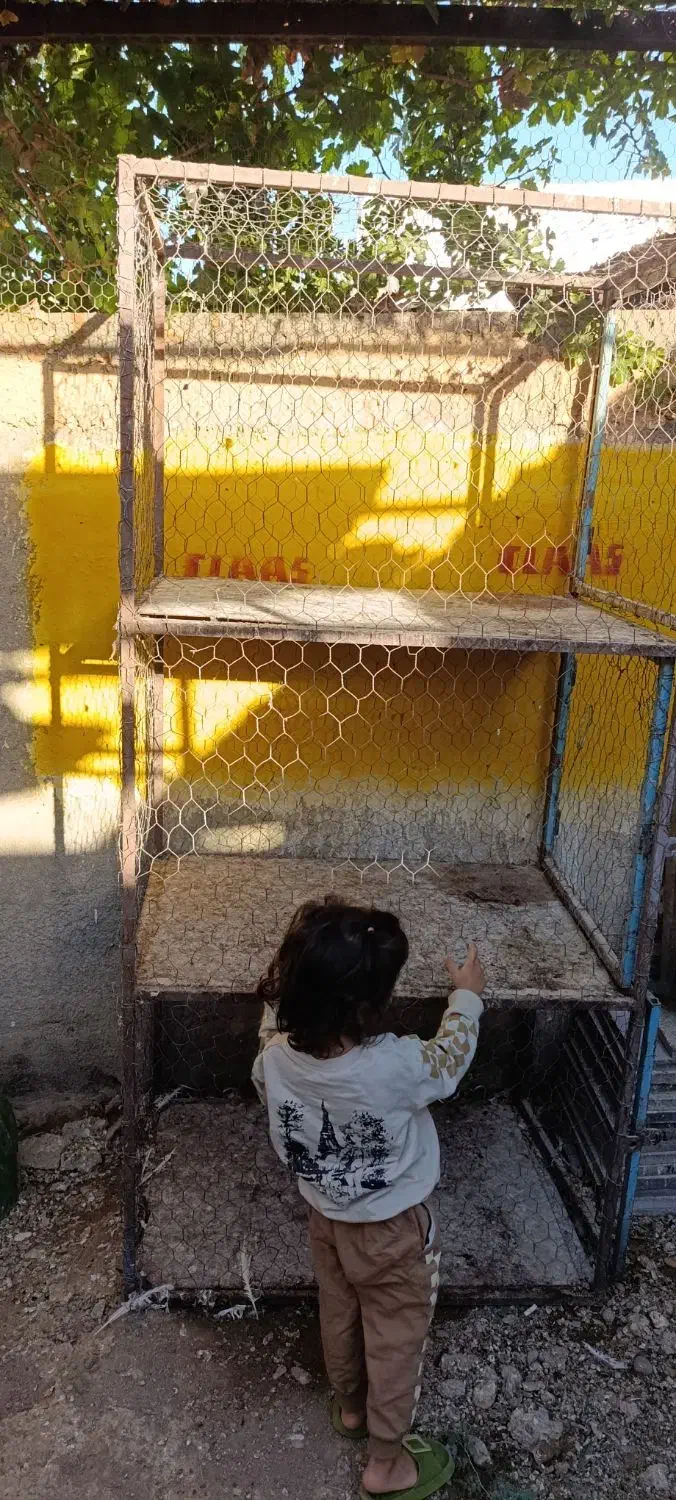 جفت کن بزرگ سه طبقه سنگین|لوازم جانبی حیوانات|ساوه, |دیوار