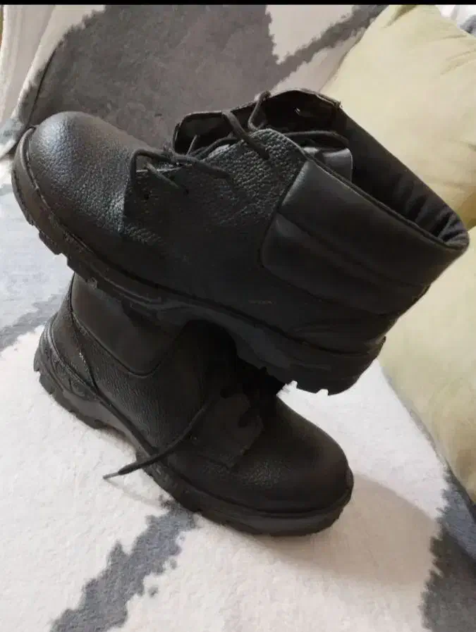 کفش مردانه|کیف، کفش، کمربند|دورود, |دیوار