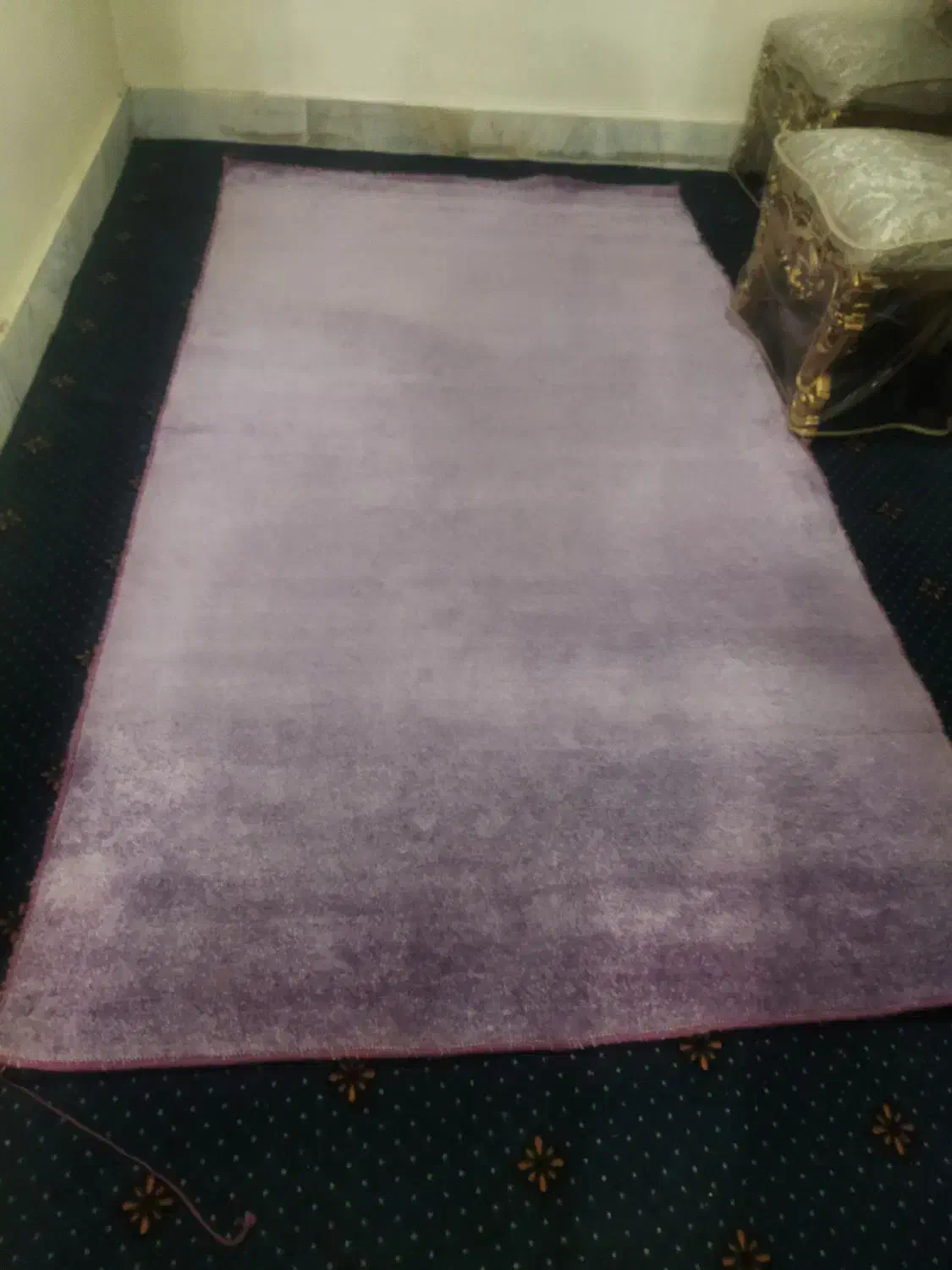 پالاز موکت|موکت|شاهدشهر, |دیوار