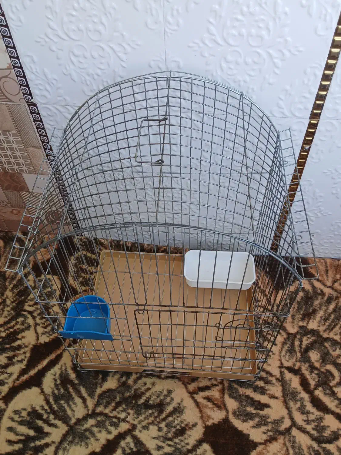 قفس پرنده عروس هلندی وسره بفروش میرسد|لوازم جانبی حیوانات|مشکیندشت, |دیوار