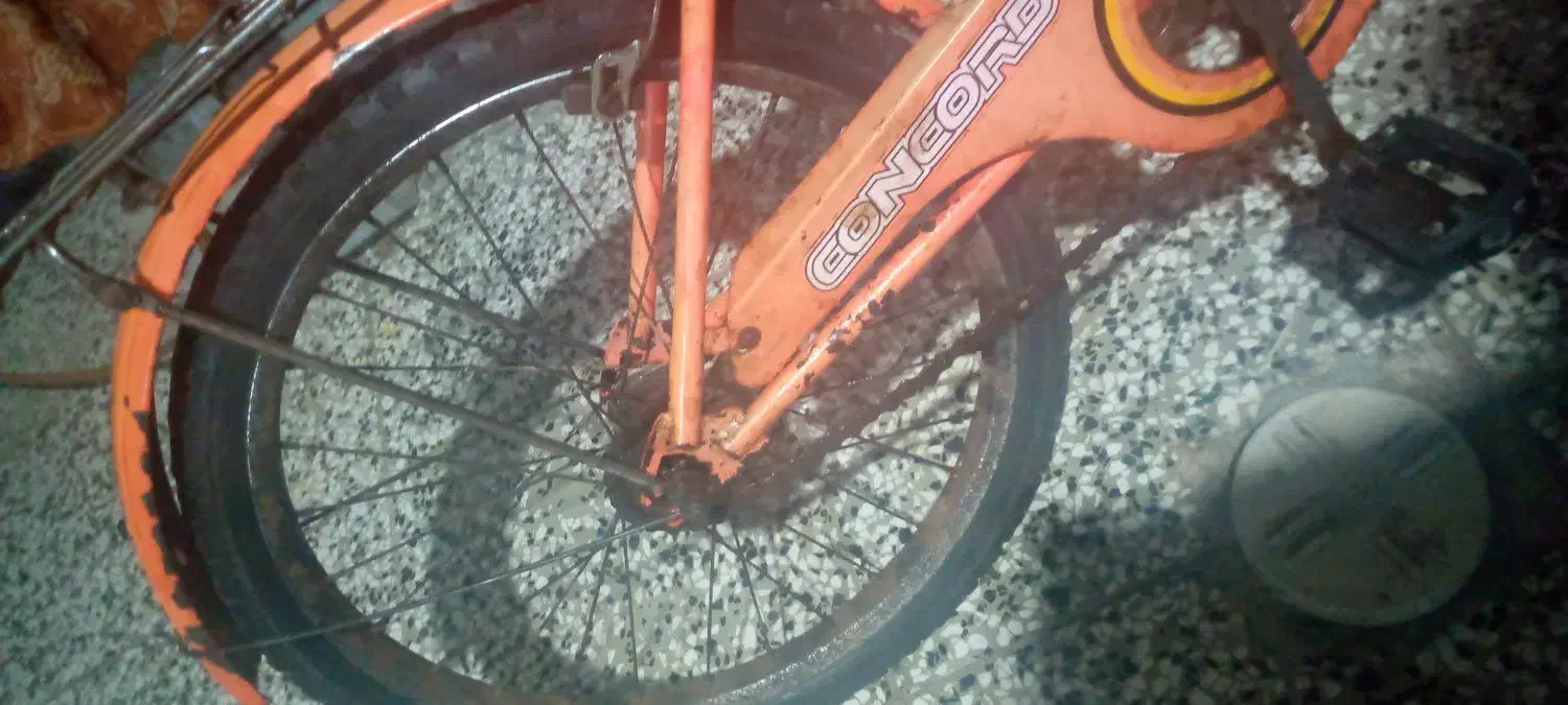 دوچرخه سایز ۲۰ دخترانه|دوچرخه، اسکیت، اسکوتر|گنبد کاووس, |دیوار